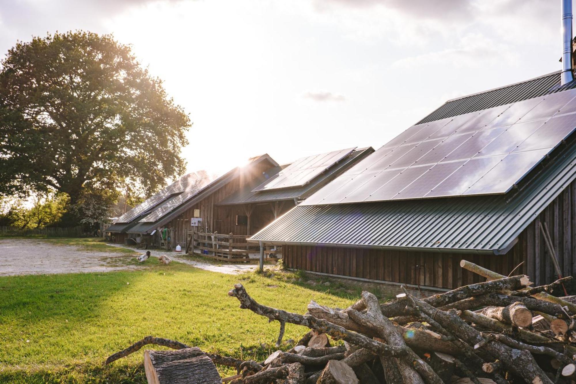 ホテル Domo Camp - Nature Glamping Hof Viehbrook Rendswuhren エクステリア 写真