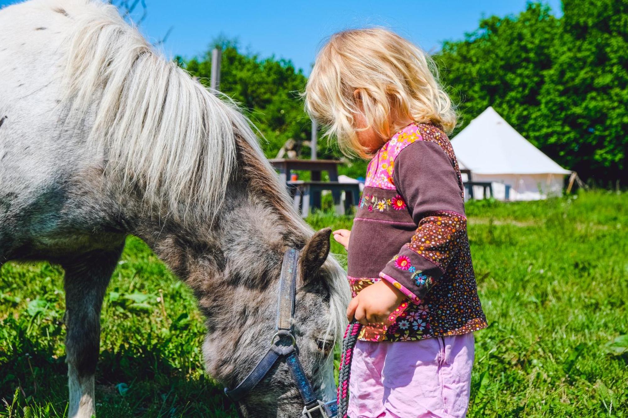 ホテル Domo Camp - Nature Glamping Hof Viehbrook Rendswuhren エクステリア 写真