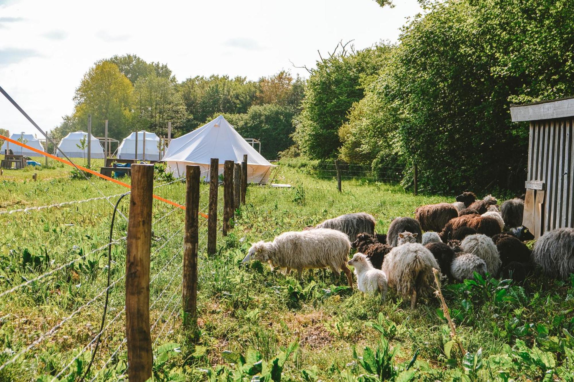 ホテル Domo Camp - Nature Glamping Hof Viehbrook Rendswuhren エクステリア 写真
